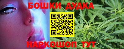 spice Партизанск