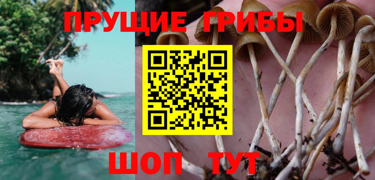 купить закладку  Вход с VPN  Псилоцибиновые грибы мухоморы  Советская Гавань  Галлюциногенные грибы GOLDEN TEACHER 